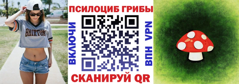 сайты даркнета наркотические препараты  закладки  Дятьково  Псилоцибиновые грибы мицелий 